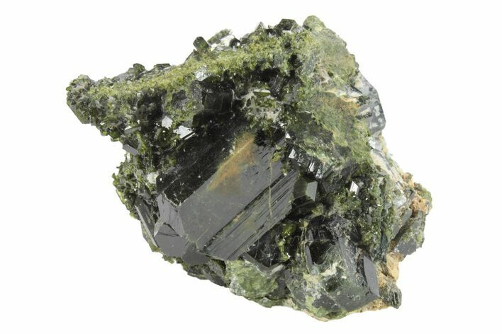 Lustrous Epidote Crystals on Actinolite - Pakistan #213459